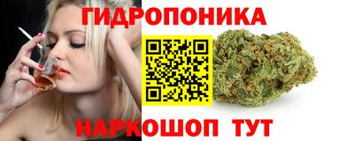 ПСИЛОЦИБИНОВЫЕ ГРИБЫ Гатчина